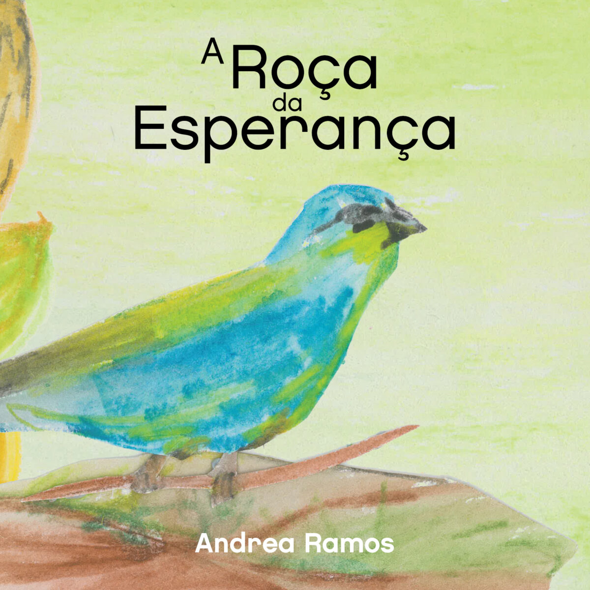 Novidade Fresquinha 4 roca